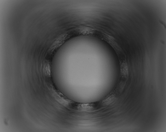 X0000101420622200807141156