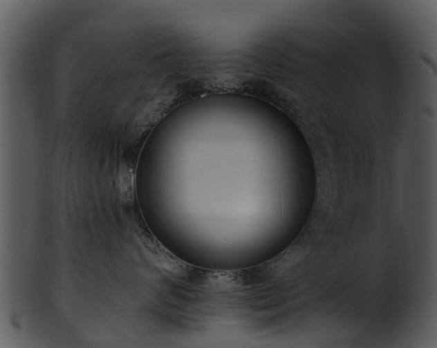 X0000101420624200807141156