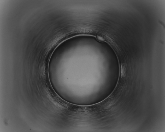 X0000101420627200807141155