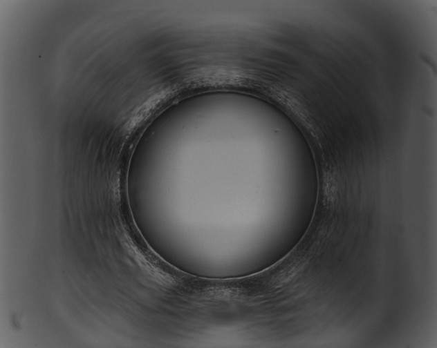 X0000101420629200807141155