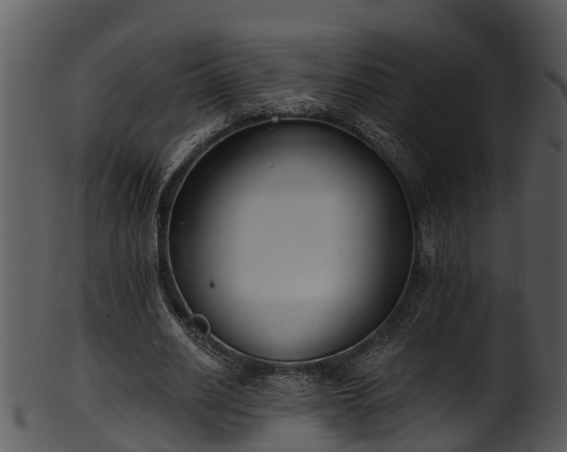 X0000101420630200807141155