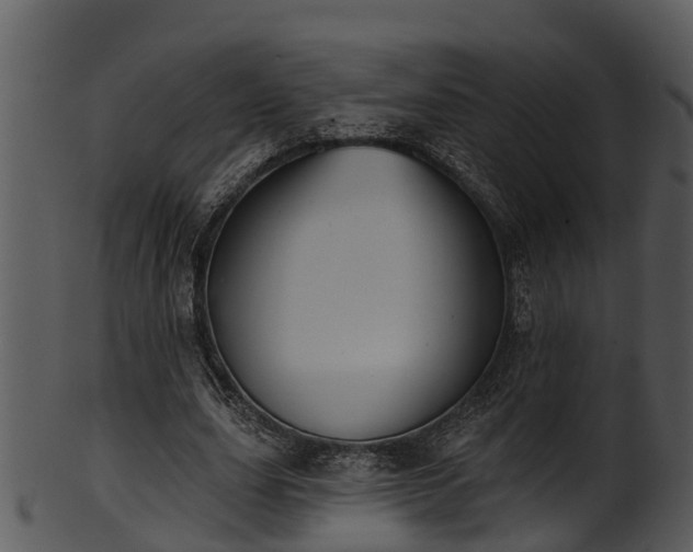 X0000101420631200807141155