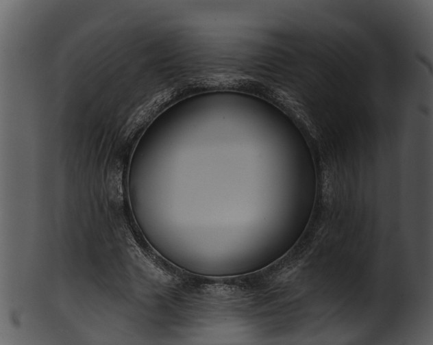 X0000101420633200807141155
