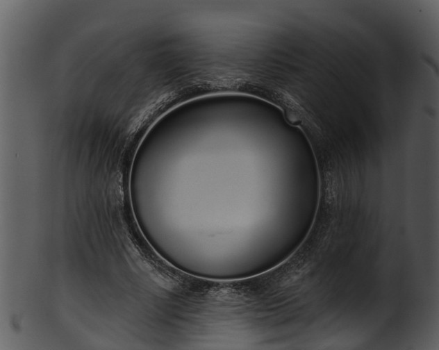 X0000101420634200807141155