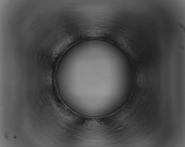 X0000101420635200807141155