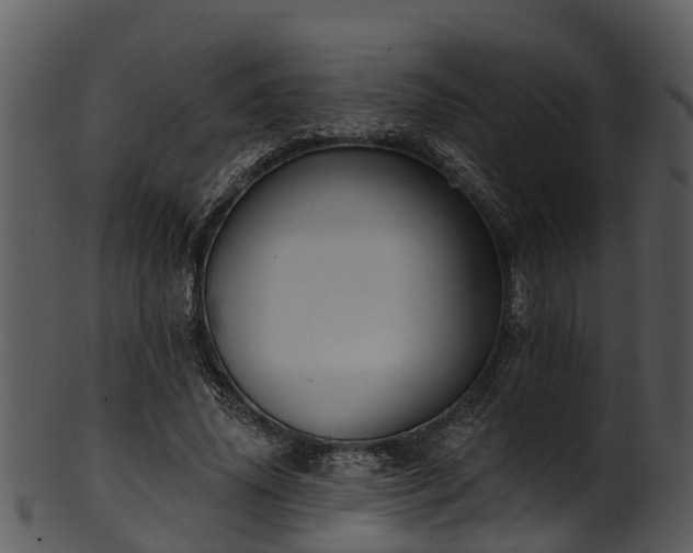 X0000101420636200807141155