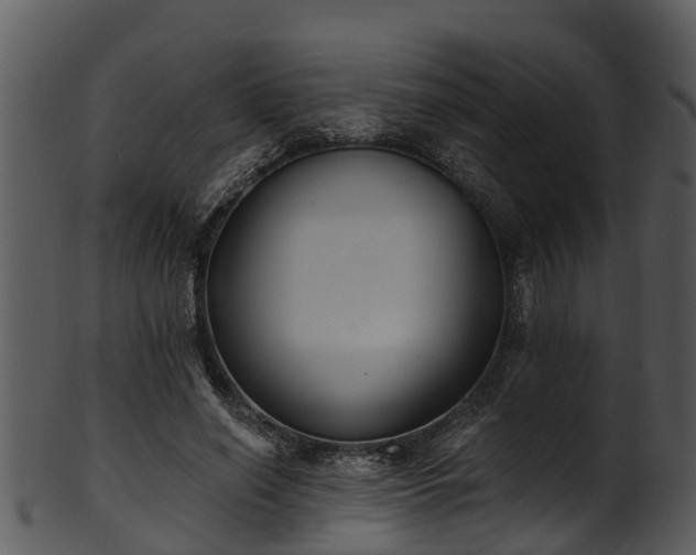X0000101420638200807141155