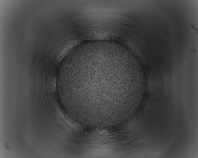 X0000101420640200807141155