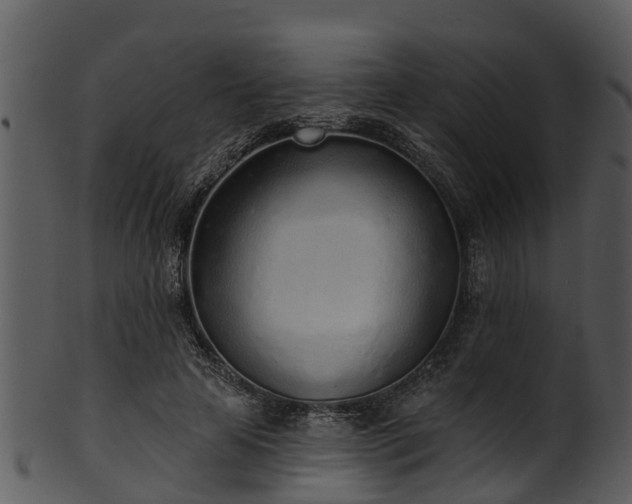 X0000101420641200807141155
