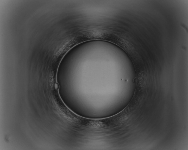 X0000101420642200807141155