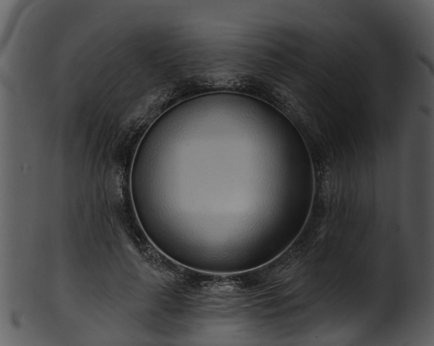 X0000101420643200807141155