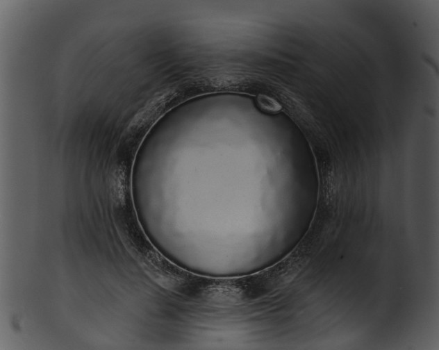 X0000101420644200807141155