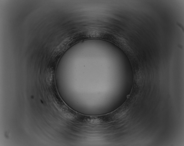 X0000101420645200807141155