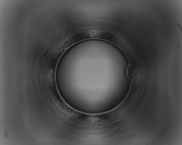 X0000101420650200807141155