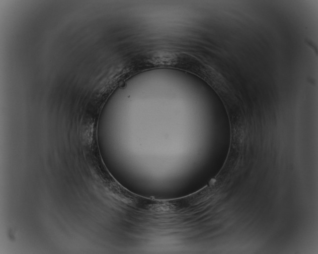 X0000101420652200807141155