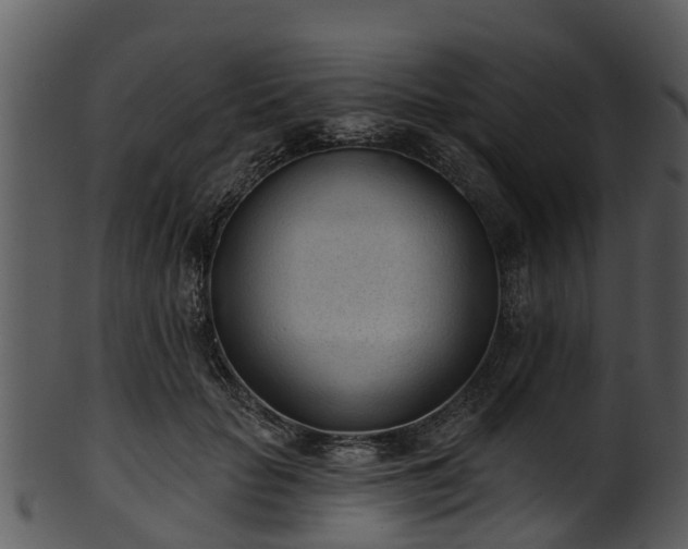 X0000101420653200807141155