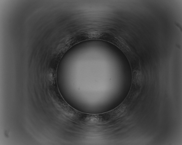 X0000101420655200807141155
