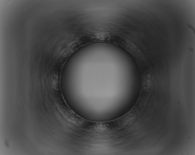 X0000101420656200807141155