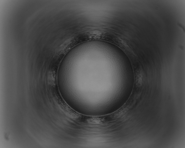 X0000101420661200807141155
