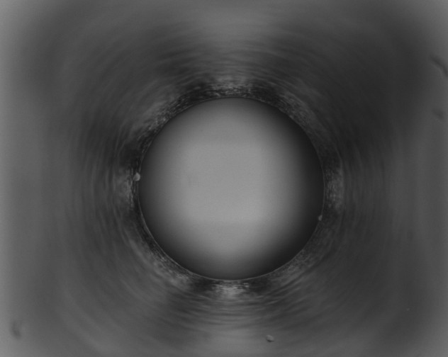 X0000101420662200807141155