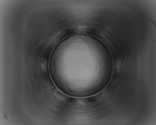X0000101420663200807141155