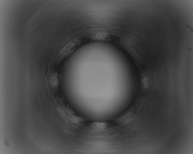 X0000101420665200807141155