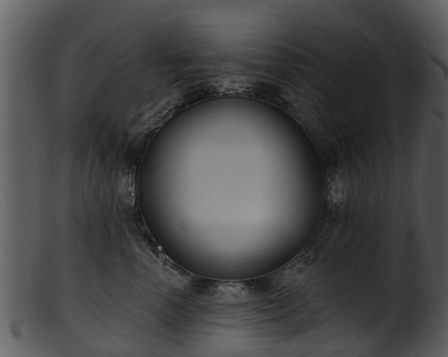 X0000101420666200807141155