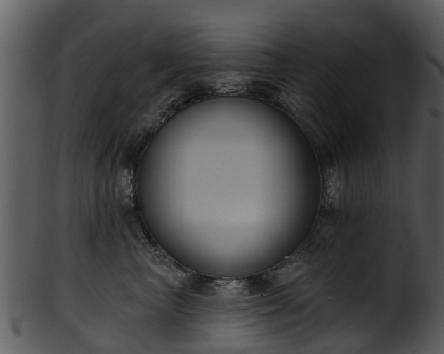 X0000101420667200807141155