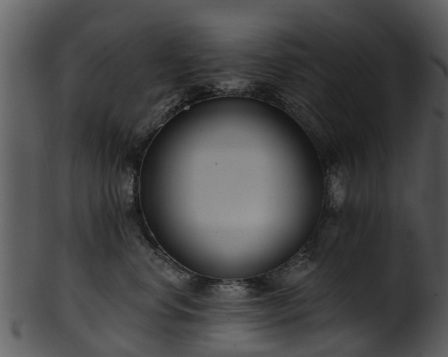 X0000101420668200807141155
