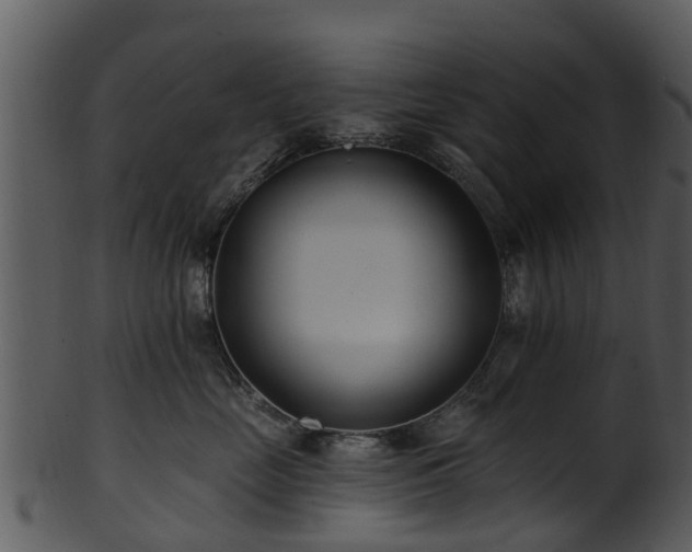 X0000101420669200807141156