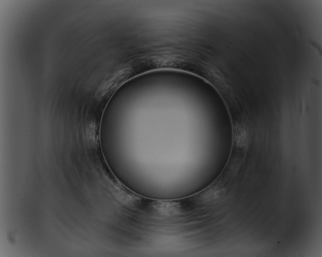 X0000101420670200807141156