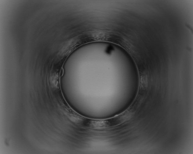 X0000101420671200807141156