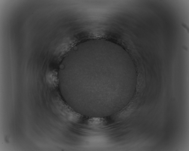 X0000101420672200807141156