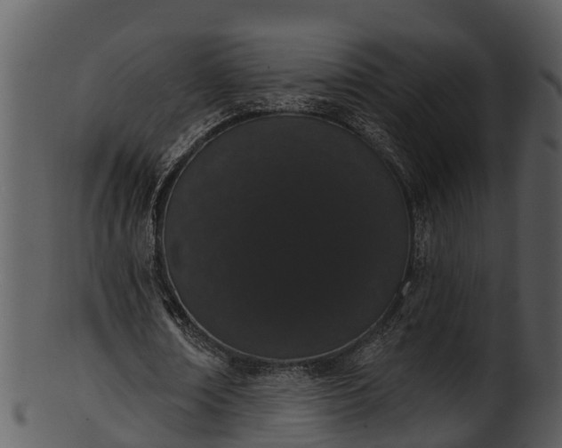 X0000101420674200807141155