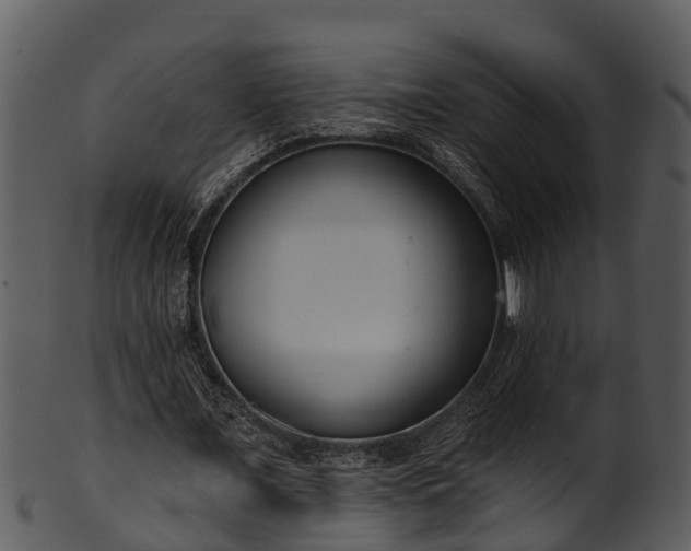 X0000101420675200807141155