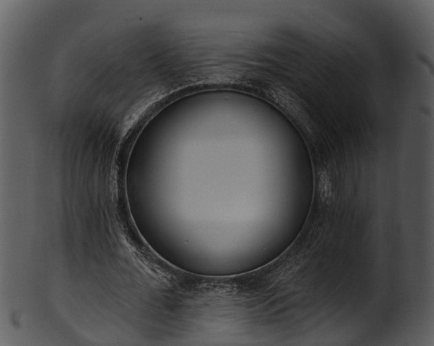 X0000101420676200807141155