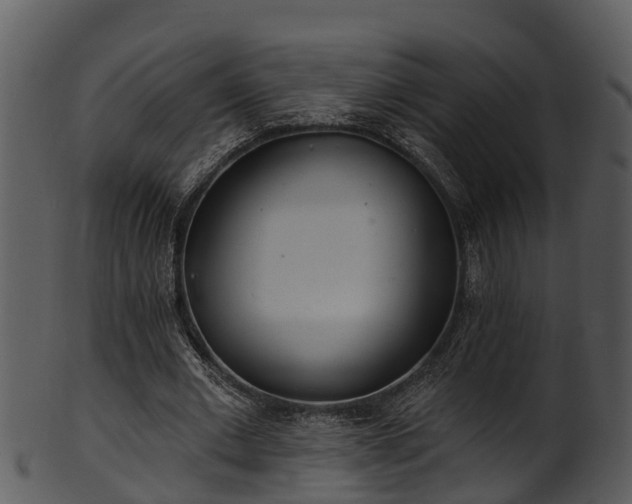 X0000101420677200807141155