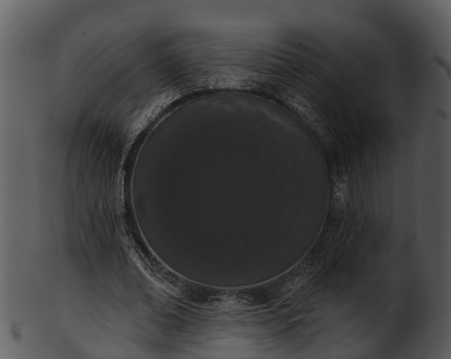 X0000101420678200807141155