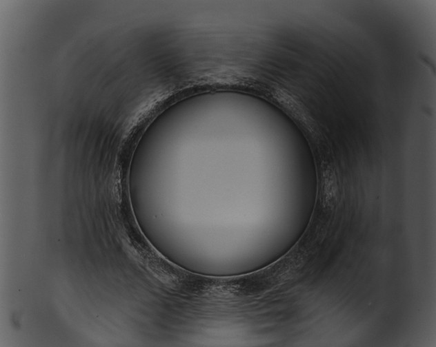 X0000101420680200807141155