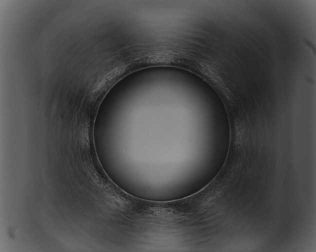 X0000101420681200807141155