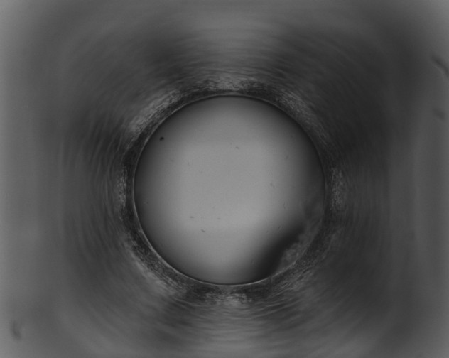 X0000101420683200807141155