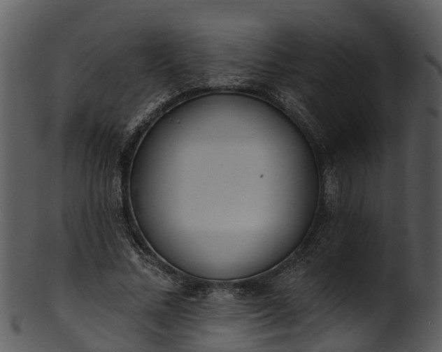 X0000101420684200807141155