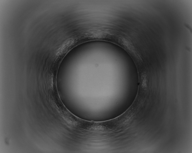 X0000101420685200807141155
