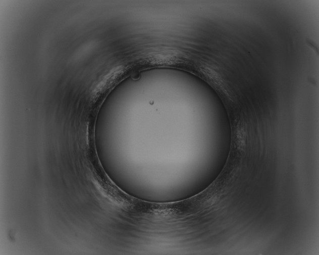 X0000101420686200807141155