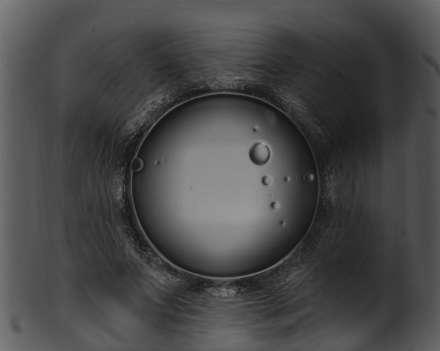 X0000101420687200807141155