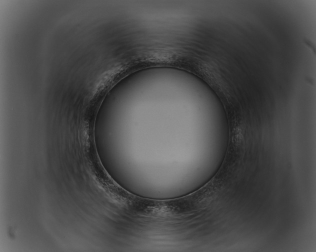 X0000101420688200807141155