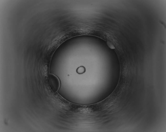 X0000101420689200807141155