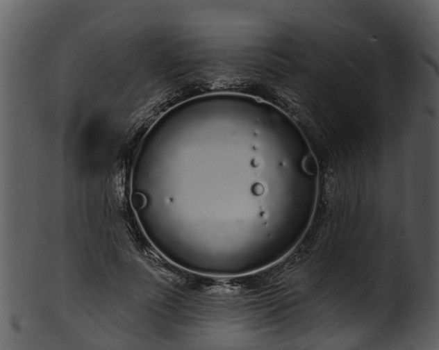 X0000101420691200807141154