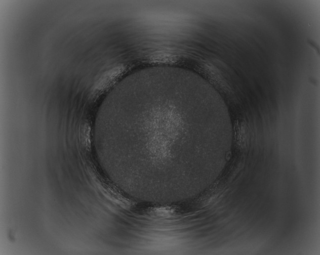 X0000101420692200807141154