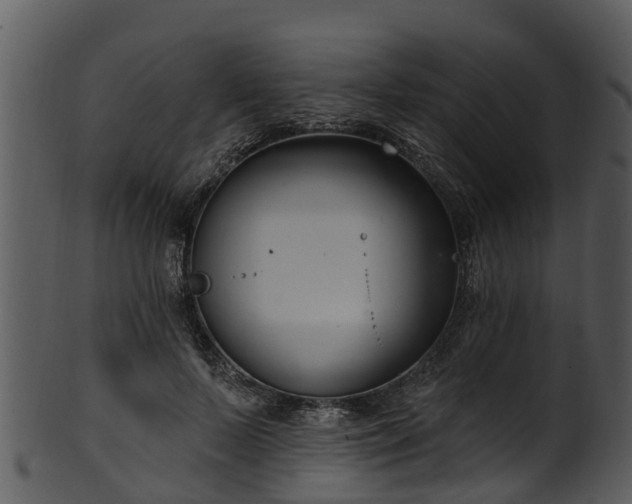 X0000101420695200807141154